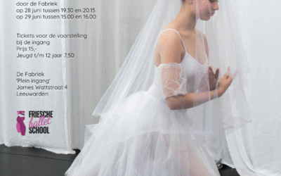 Kom 28 en 29 juni naar de eindpresentatie in De Fabriek!